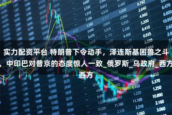 实力配资平台 特朗普下令动手，泽连斯基困兽之斗，中印巴对普京的态度惊人一致_俄罗斯_乌政府_西方