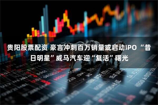 贵阳股票配资 豪言冲刺百万销量或启动IPO “昔日明星”威马汽车迎“复活”曙光