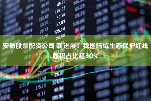 安徽股票配资公司 新进展！我国陆域生态保护红线面积占比超30%