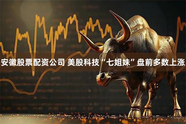 安徽股票配资公司 美股科技“七姐妹”盘前多数上涨