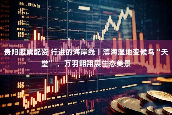 贵阳股票配资 行进的海岸线丨滨海湿地变候鸟“天堂” ,万羽翱翔展生态美景