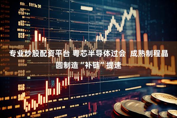 专业炒股配资平台 粤芯半导体过会  成熟制程晶圆制造“补链”提速